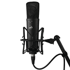 Warm Audio Wa 87 R2 Black Micrófono De Condensador 7
