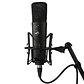 Warm Audio Wa 87 R2 Black Micrófono De Condensador - Miniatura 7