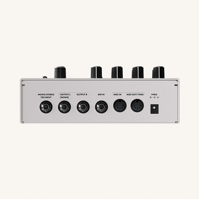 Hologram Microcosm Pedal Granular  3