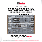 Intellijel Cascadia East & West Coast Edición Dark Grey Sintetizador Semi Modular 1