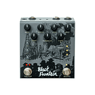 Old Blood Noise Endeavors Black Fountain Slate Pedal Delay 2