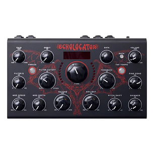Erica Synths Echolocator Pedal de Delay