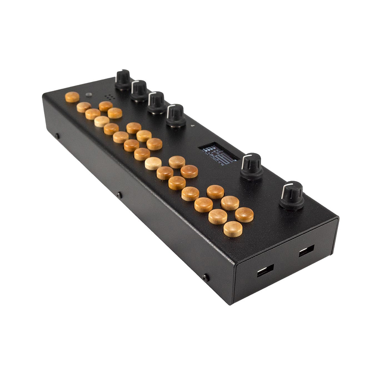 Critter & Guitari Organelle S2 Sintetizador Digital 4