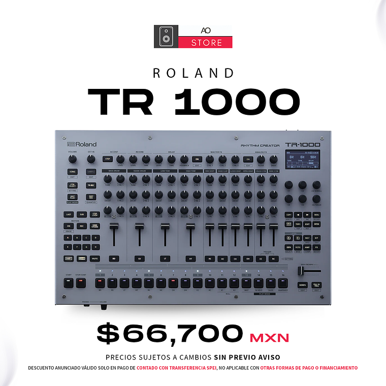 Roland Tr 1000 Caja de Ritmos 1