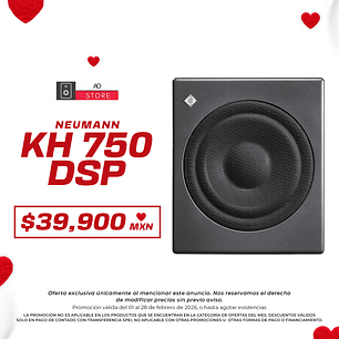 Neumann KH 750 DSP Subwoofer de Estudio