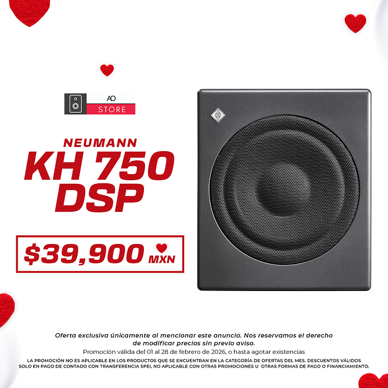Neumann KH 750 DSP Subwoofer de Estudio 1