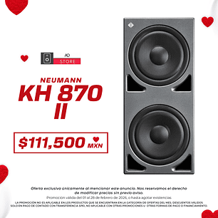 Neumann Kh 870 II Subwoofer De Estudio