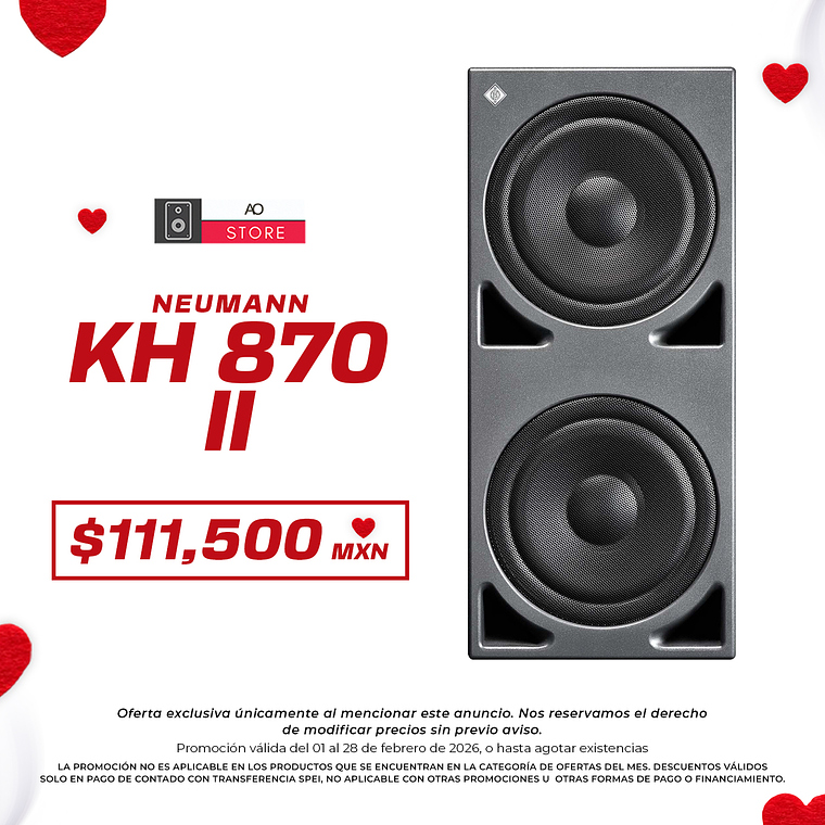Neumann Kh 870 II Subwoofer De Estudio 1