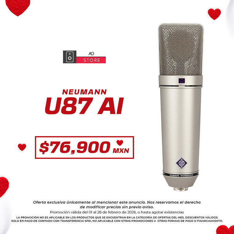 Neumann U87 AI Micrófono Multipatrón 1