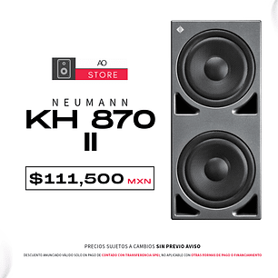 Neumann Kh 870 II Subwoofer De Estudio