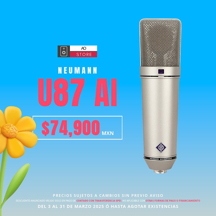Neumann U87 AI Micrófono Multipatrón 2