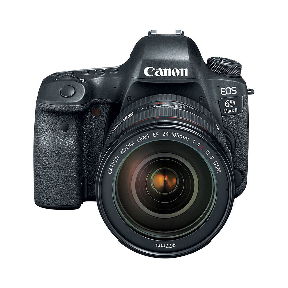Canon EOS 6D Mark II EF 24-105mm f/4L IS II USM 7