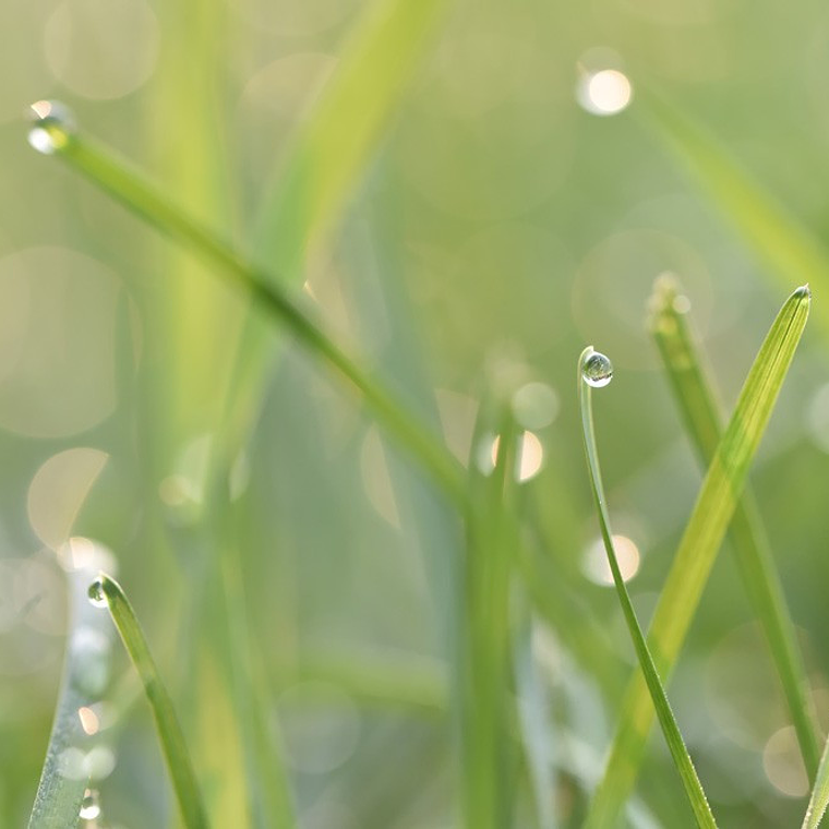 Tamron 90mm 2,8  Di  Macro 1:1  VC  USD Lente Macro para Canon 10