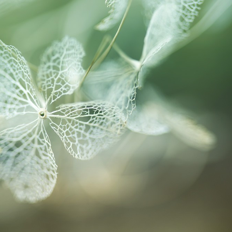 Tamron 90mm 2,8  Di  Macro 1:1  VC  USD Lente Macro para Canon 12