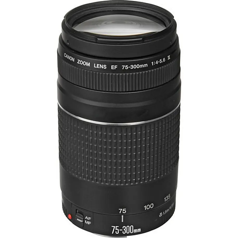 Canon Lente EF 75-300mm f/4-5.6 III Telefoto para Cámaras Canon 1