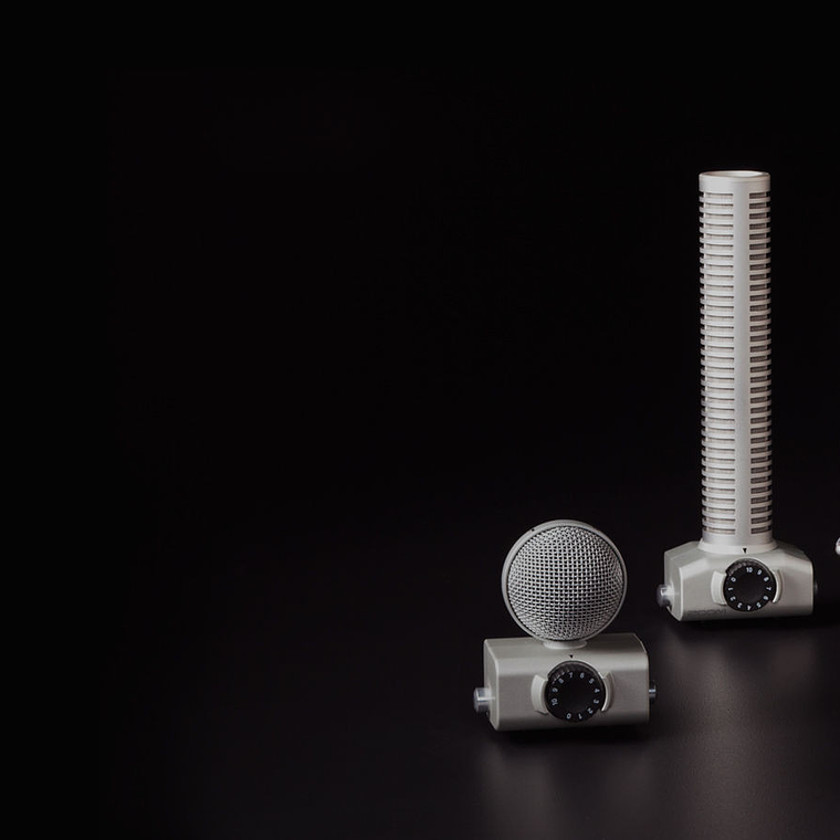 Zoom H5 Grabadora con Cápsula Intercambiable y Antipop 2 canales XLR / Jack 8