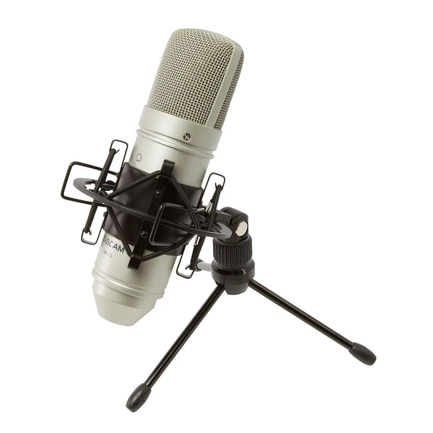 Tascam TM-80 Microfono de Condensador con Cápsula de Aluminio Para Estudio TM80 1