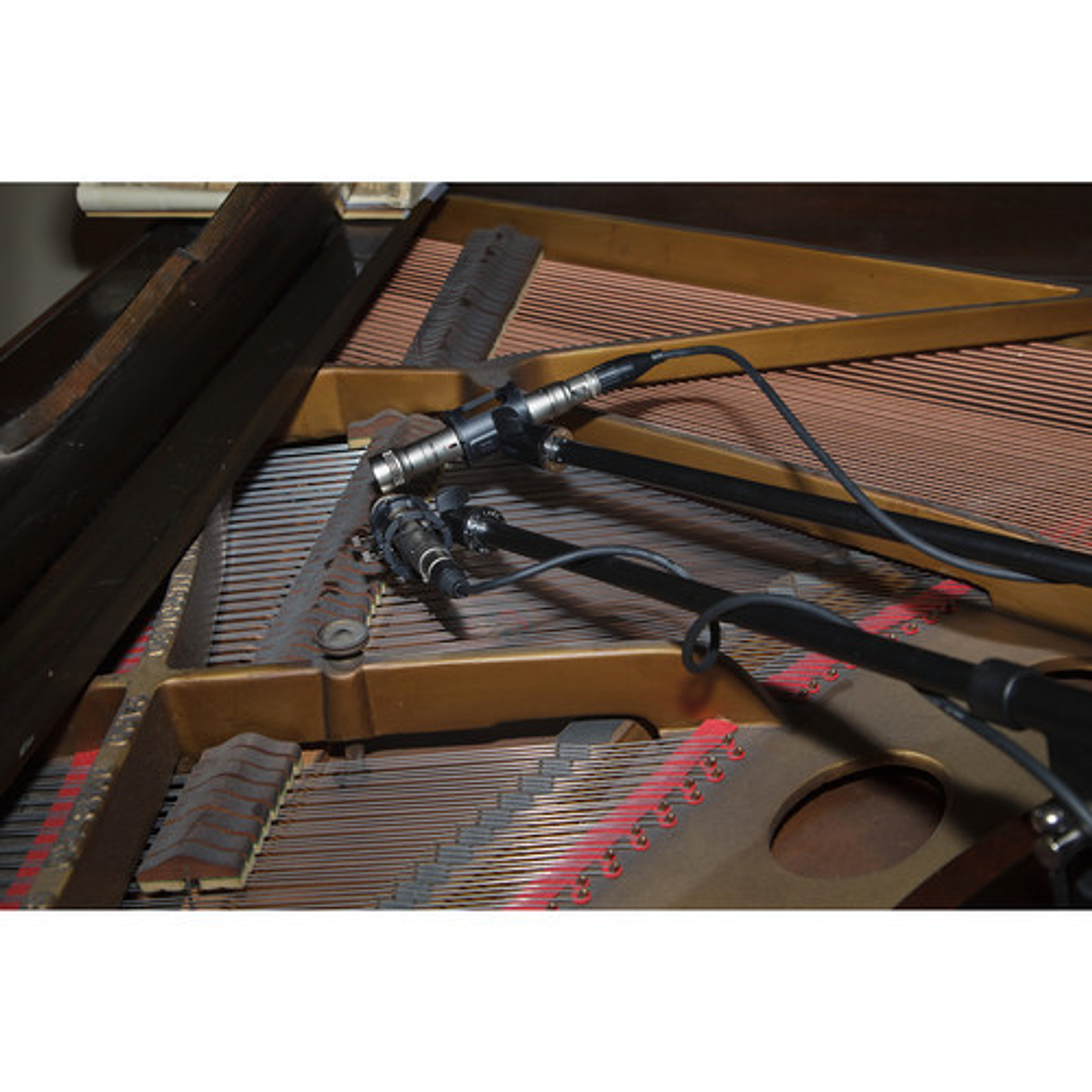 Tascam TM-PC1  Mini Micrófono de Condensador Con Trípode y Antipop 3