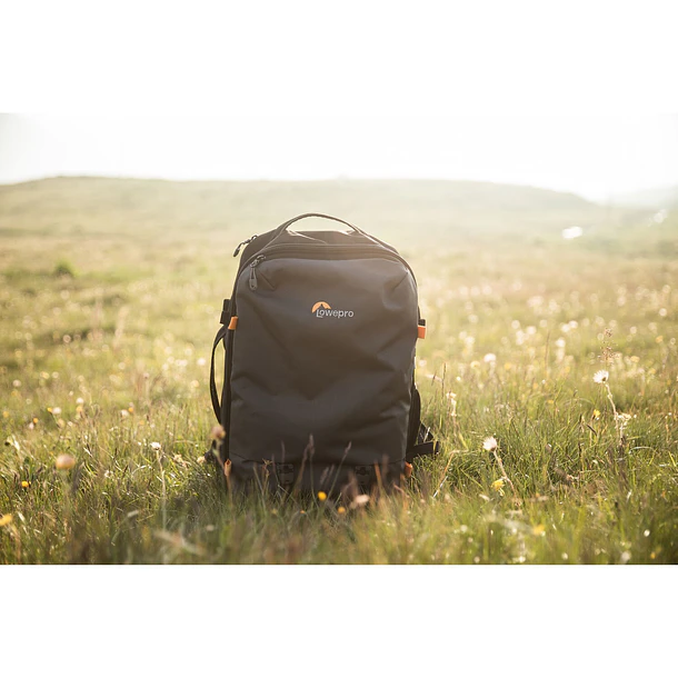 Lowepro Trekker Lite BP 250 AW Gris LP37470-PWW 4