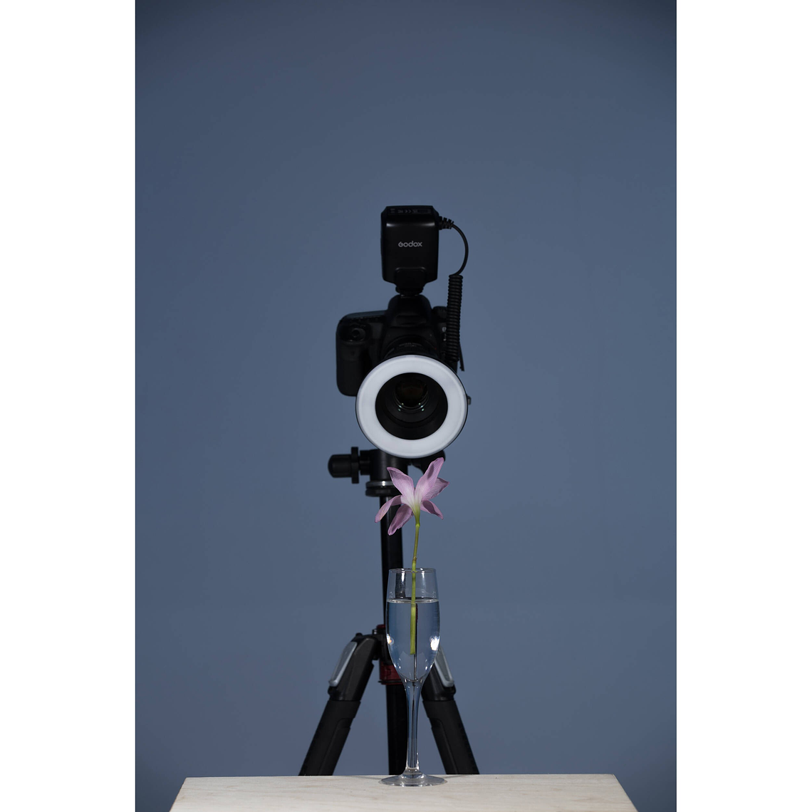 Godox ML150II Macro Ring Flash Anular Para Cámara 14