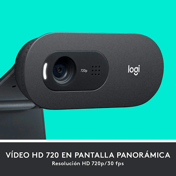 Logitech C505e Webcam Cámara Web HD 720p 5