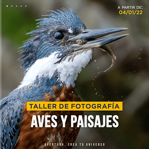 Taller de fotografía: Aves y paisajes