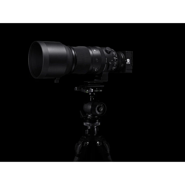 Sigma 150-600mm f/5-6.3 DG DN OS Sports Lens for Sony E 10