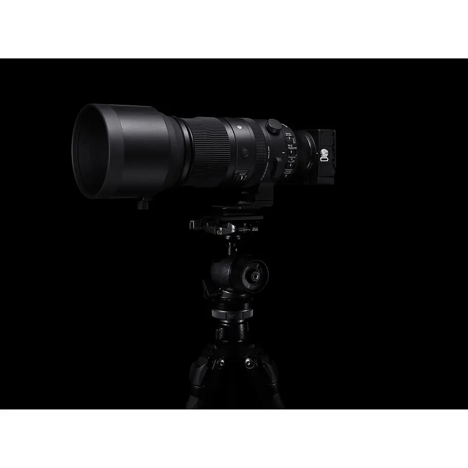 Sigma 150-600mm f/5-6.3 DG DN OS Sports Lens for Sony E 10