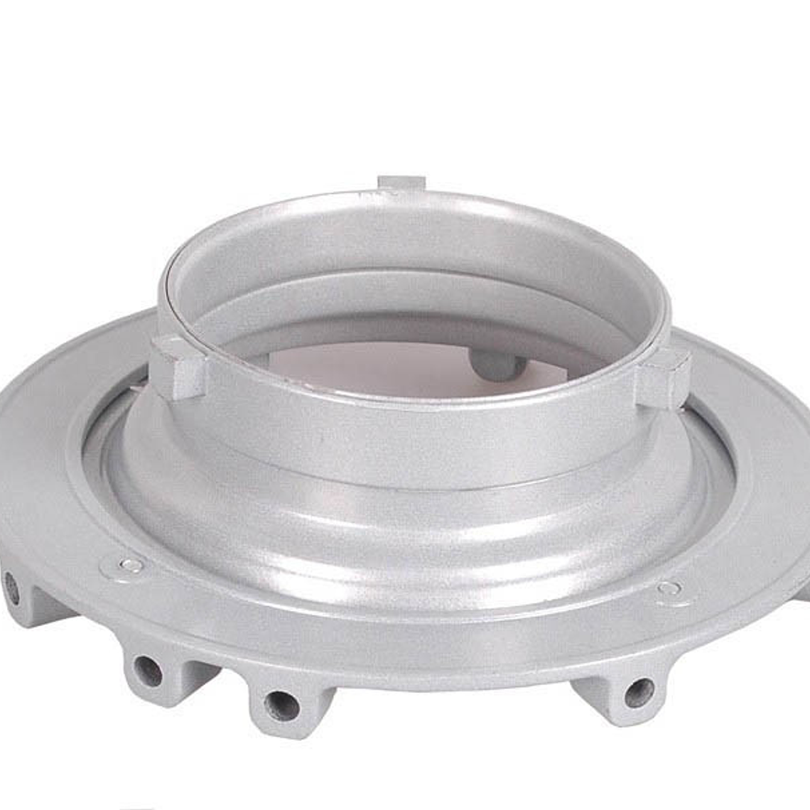 Godox Softbox con Grid 30 x 120 cm Montura Bowens 2