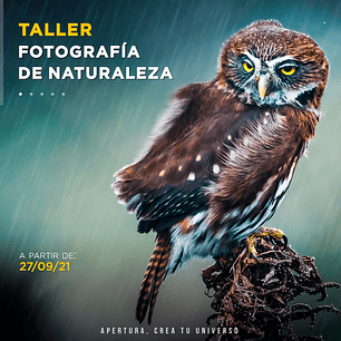 Taller Fotografía de Naturaleza