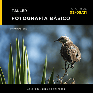 Taller de Fotografía digital (Básico) - May 2021