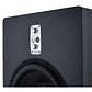Eve Audio TS112 - Subwoofer activo de 12