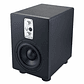 Eve Audio TS107 - Subwoofer activo de 7
