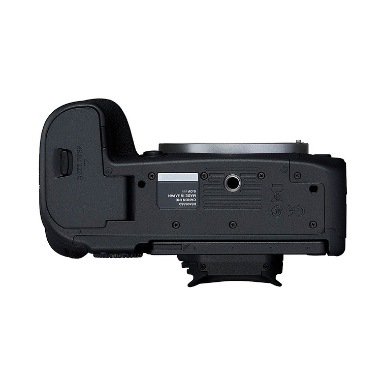 Canon EOS R6 Mark II RF 24-105mm f/4-7.1 IS STM 4