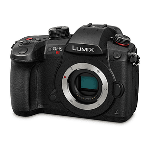 Panasonic Lumix DC-GH5S Mirrorless Micro Four Thirds Digital Camera (sólo cuerpo)