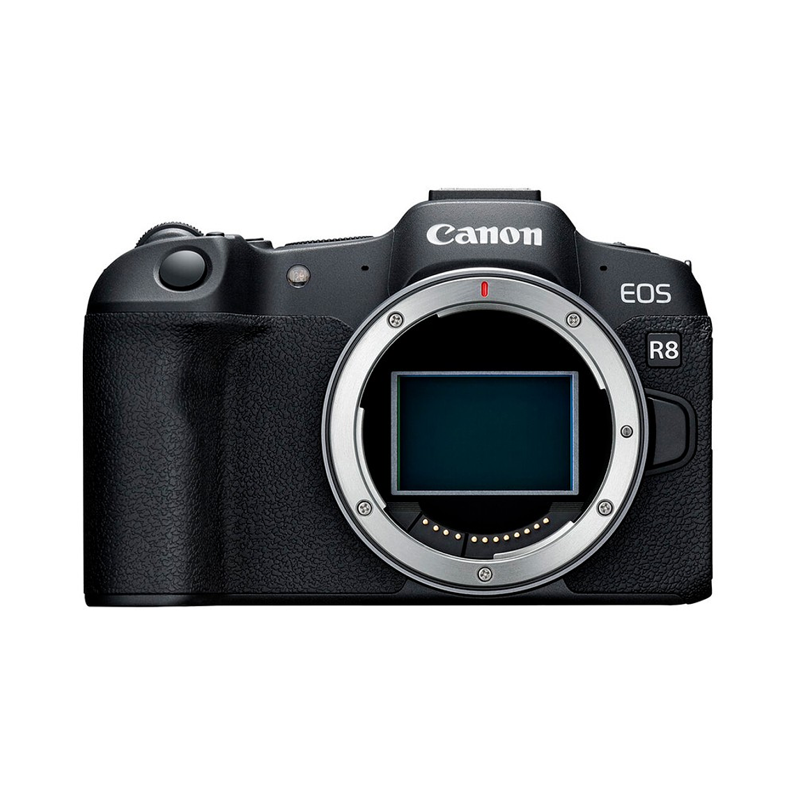 Canon EOS R8 con lente RF 24-50 mm f/4.5-6.3 IS STM Mirrorless 7