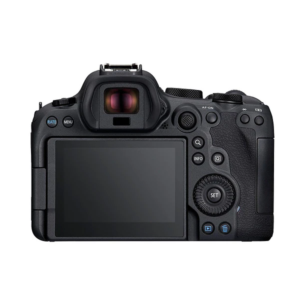 Canon EOS R6 Mark II RF 24-105mm f/4L IS USM 21