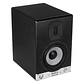 EVE Audio SC2070 - Monitor de estudio activo de 2 vías de 7