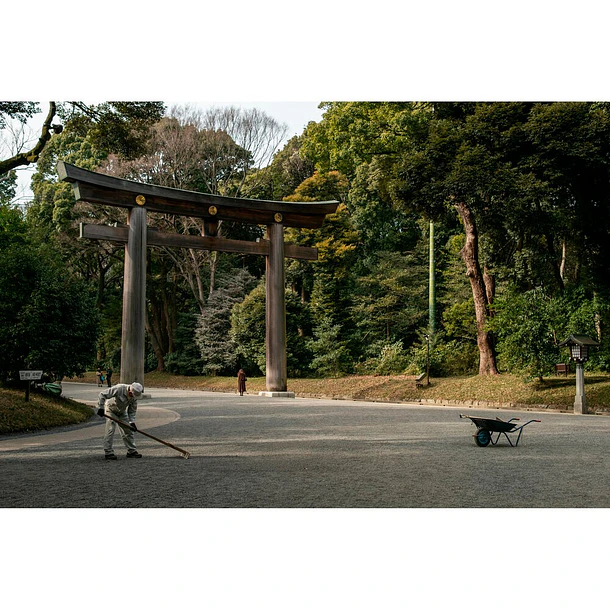 Sigma 30mm f/1.4 DC DN Contemporary Lente para FUJIFILM X 3