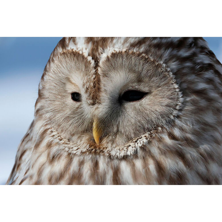 Canon EOS R7 RF-S 18-150mm f/3.5-6.3 IS STM Cámara Mirrorless 19