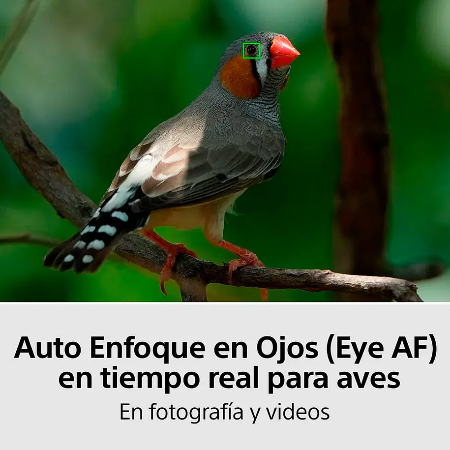Sony Alpha 7 IV Cámara Híbrida Full Frame (Solo Cuerpo) [ILCE-7M4 E38] 14