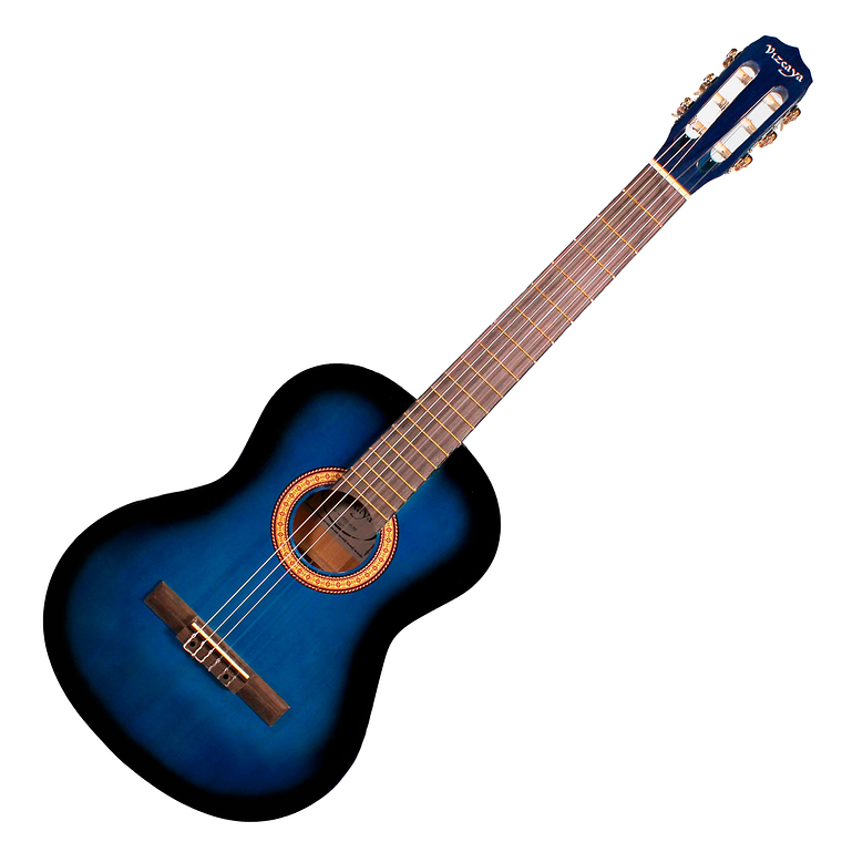 Vizcaya Arcg44 Bb Guitarra Acustica Nylon 39