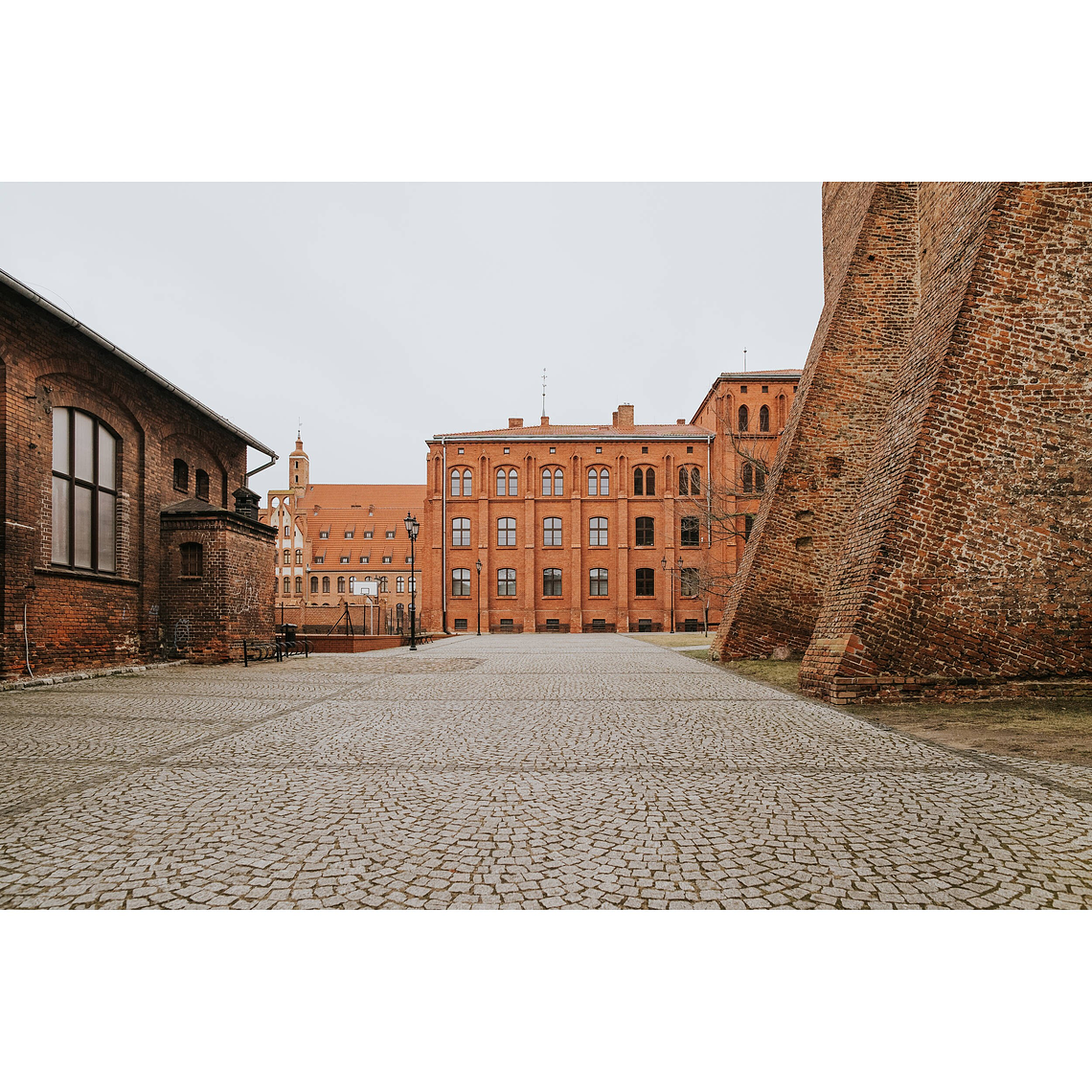 Irix Lente 21mm f/1.4 Dragonfly Para Cámara Pentax 23