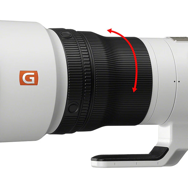 Sony Lente FE 600mm F4 GM OSS 11