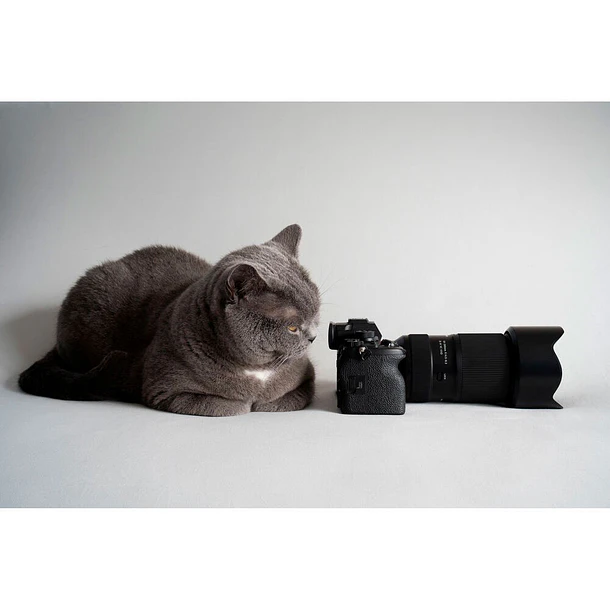 Tamron 50-300mm F/4.5-6.3 Di III VC VXD (Sony E) 17