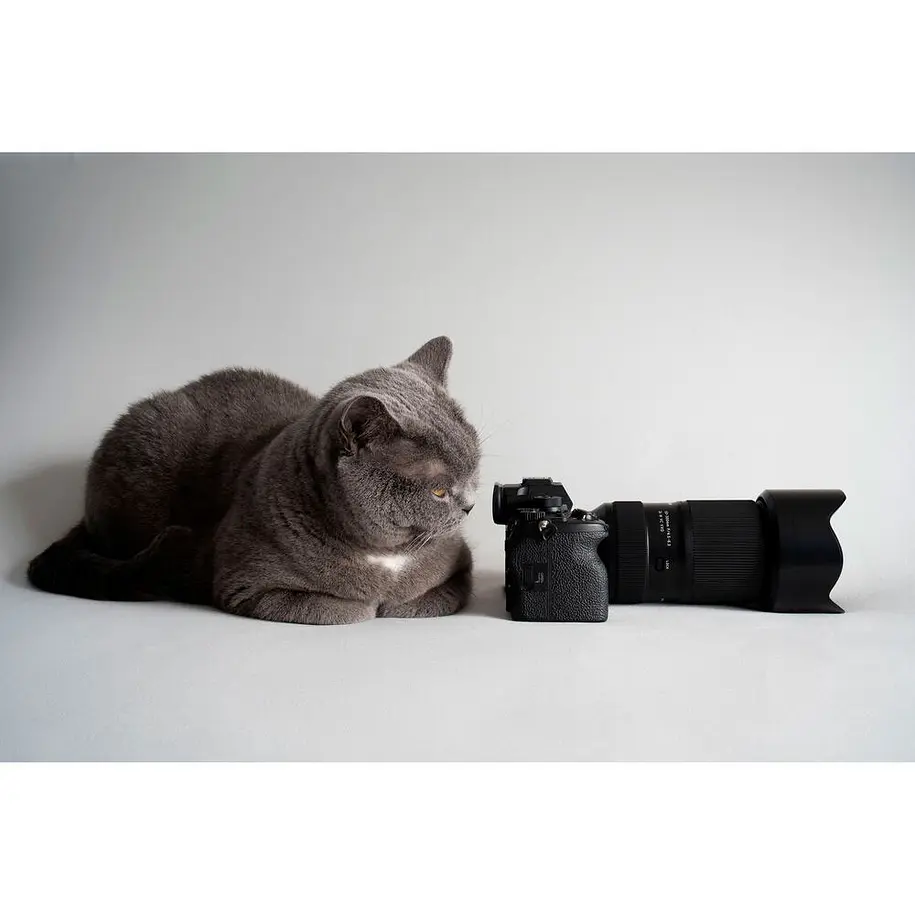 Tamron 50-300mm F/4.5-6.3 Di III VC VXD (Sony E) 17