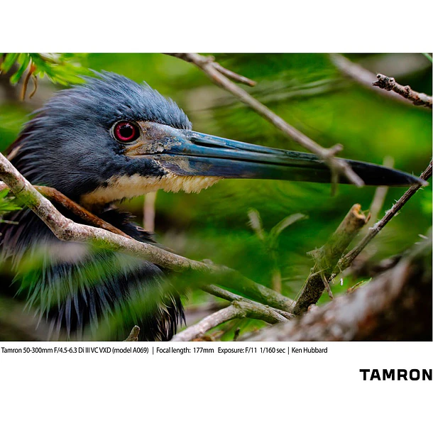 Tamron 50-300mm F/4.5-6.3 Di III VC VXD (Sony E) 19
