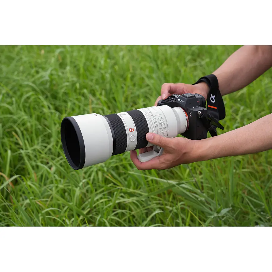 Sony Lente FE 70-200mm F2.8 GM OSS II 12