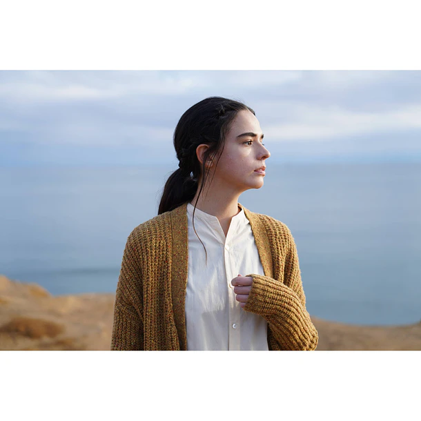 Sony Lente FE 24-70mm F2,8 GM II   - SEL2470GM2 15