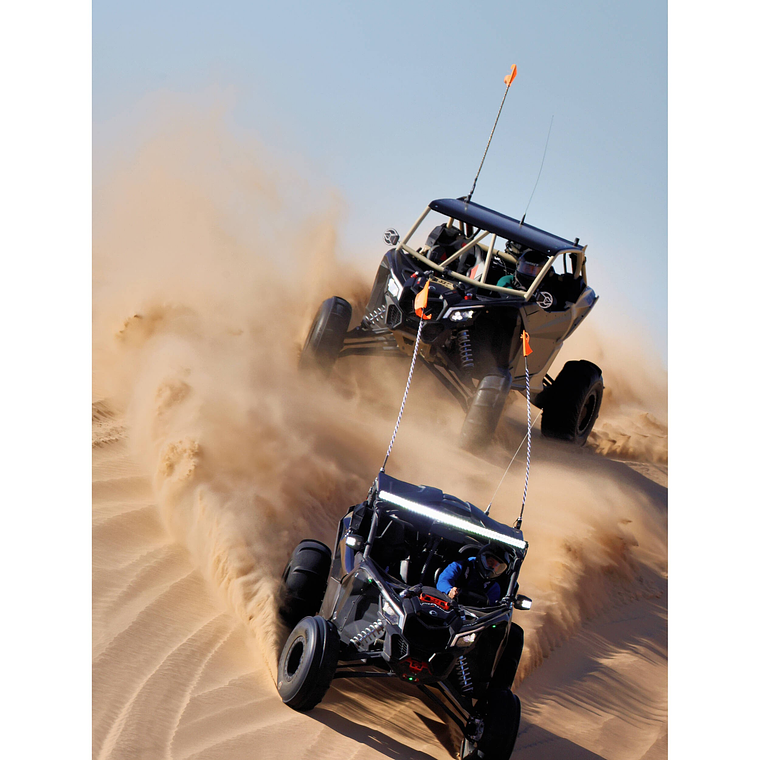 Canon Lente RF 1200MM f/8L IS USM 6